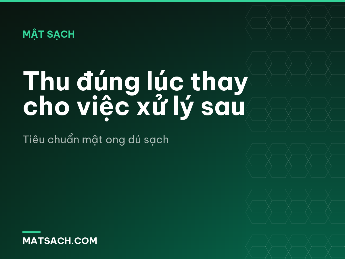 Thu đúng lúc thay cho việc xử lý sau